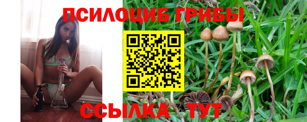 что такое наркотик  Галлюциногенные грибы Magic Shrooms  Вход с VPN  Донецк  Псилоцибиновые грибы MAGIC MUSHROOMS 