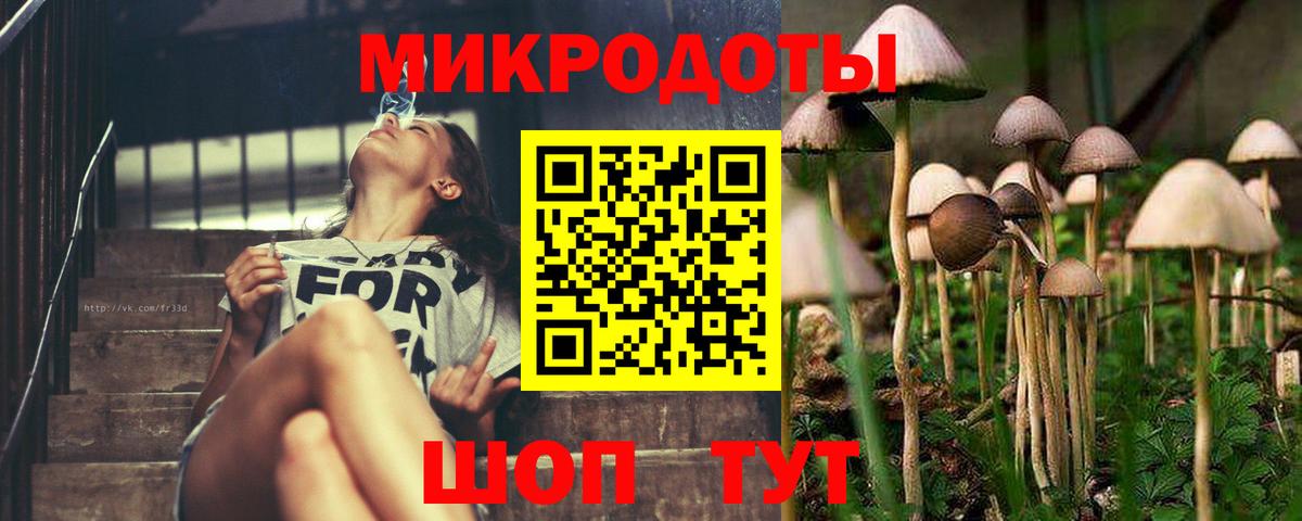 Псилоцибиновые грибы мицелий Донецк