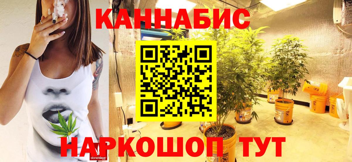 Бошки Шишки семена Донецк